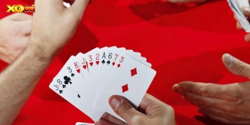 Cá cược trọn vẹn với lợi ích hấp dẫn từ nền tảng