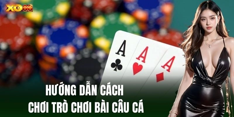 Hướng dẫn cách chơi trò chơi Bài Câu Cá