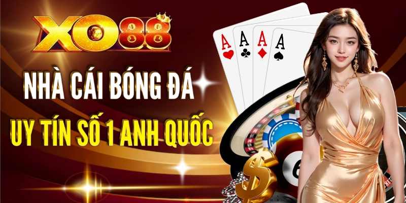 Tổng quan về nhà cái