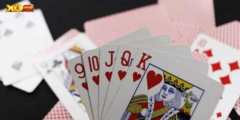 Trải nghiệm cá cược hấp dẫn với hướng dẫn cơ bản cho hội viên