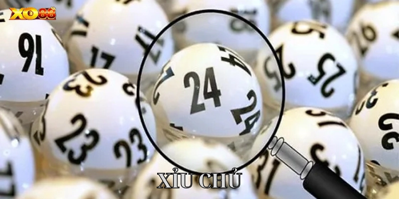 Tất tần tật Xỉu Chủ cho người mới