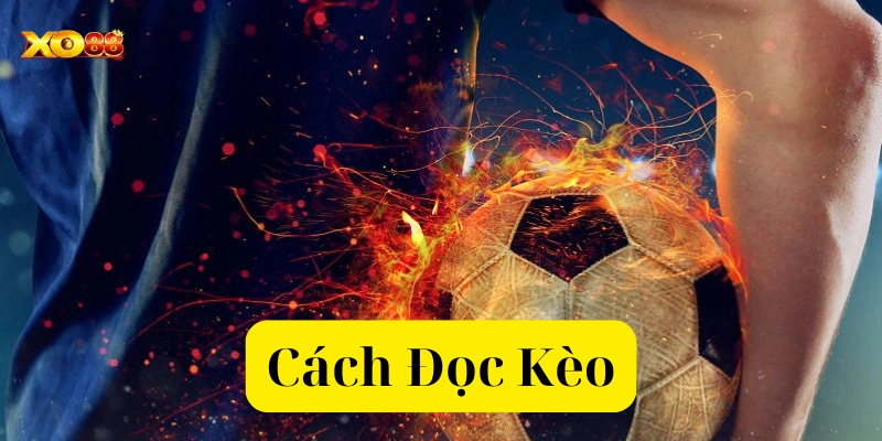 Bí quyết cách đọc kèo