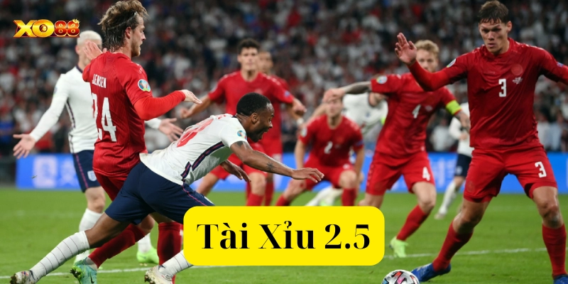 Khái niệm kèo Tài Xỉu 2.5