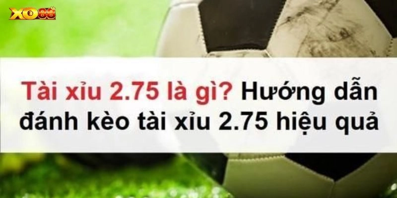 Cách đọc kèo tài xỉu 2.75 siêu chuẩn