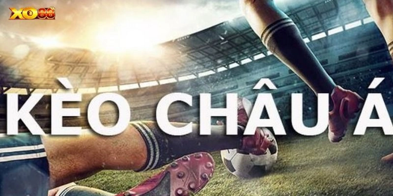 Học cách quan sát và nắm bắt đúng thời điểm