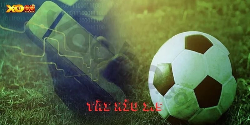 Mách bạn cách soi kèo tài xỉu 1.5 chuẩn xác