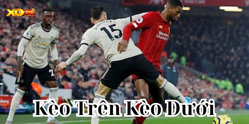 Cách nhận biết kèo trên kèo dưới