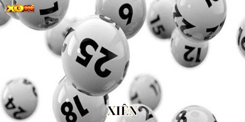 Kinh nghiệm xương máu từ cao thủ