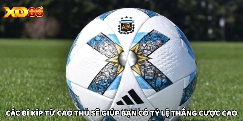 Các bí kíp từ cao thủ sẽ giúp bạn có tỷ lệ thắng cược cao