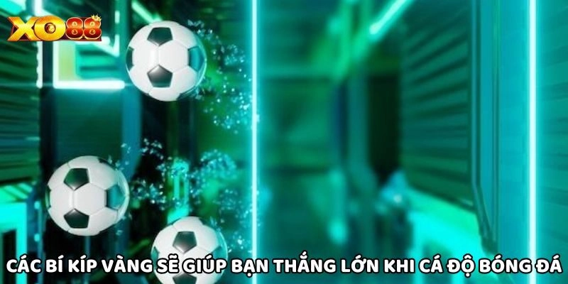 Các bí kíp vàng sẽ giúp bạn thắng lớn khi cá độ bóng đá