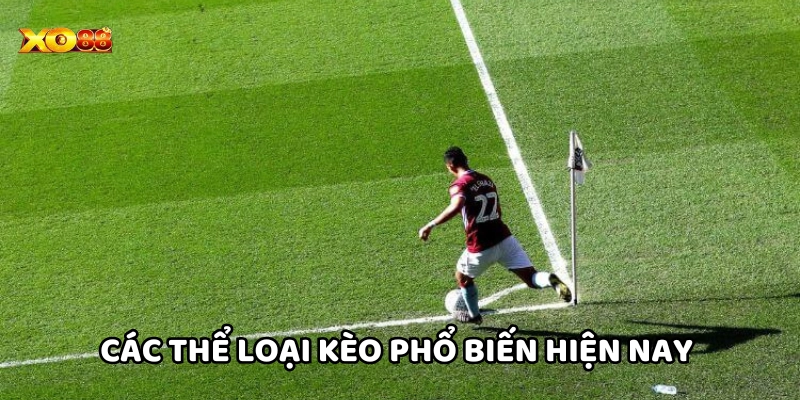 Các loại kèo phổ biến trong Kèo Phạt Góc Là Gì  