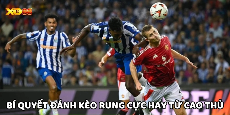 Kèo Rung Là Gì? Bí quyết đánh kèo dành cho tân thủ