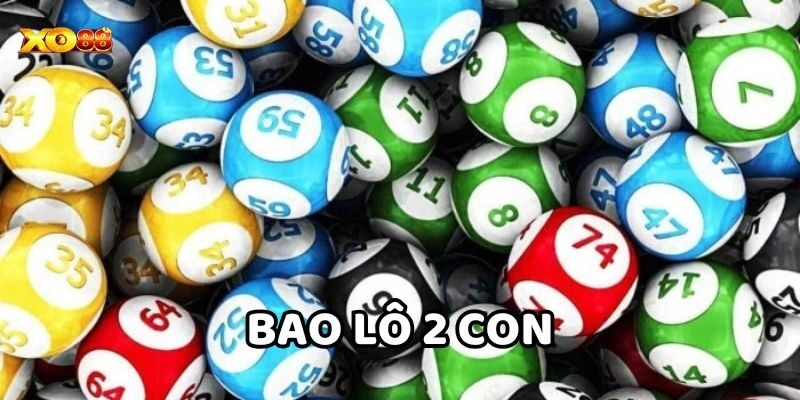 Bao Lô 2 Con là gì? 