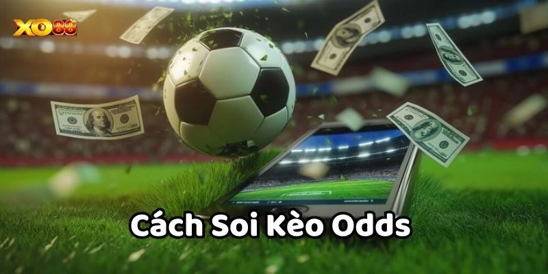 Phát hiện kèo dụ trong Cách Soi Kèo Odds