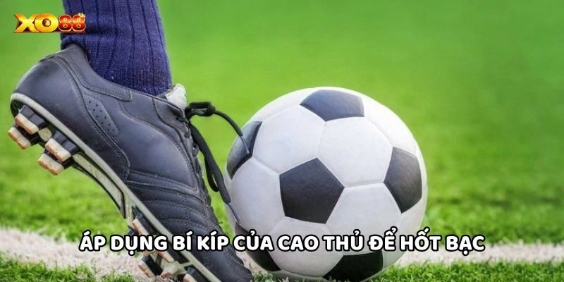 Áp dụng bí kíp của cao thủ để hốt bạc