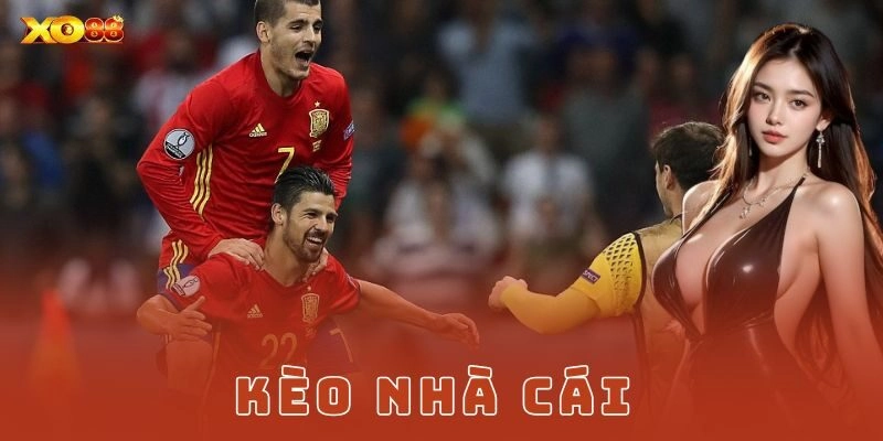 Các loại kèo phổ biến